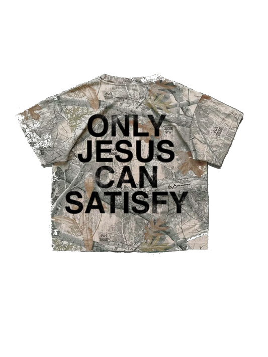 Only Jesus Can Satisfy